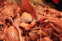 Harga ayam mengalami kenaikan karena banyaknya permintaan menjelang Lebaran.