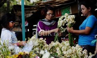 Seperti terlihat di toko bunga di Jalan KH Noer Ali, Kalimalang, Kota Bekasi, Rabu (7/8).
