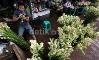 Bunga cantik ini biasanya dijadikan penghias ruangan saat merayakan hari raya Idul Fitri.