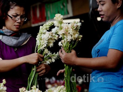 Bunga Sedap Malam Laris Manis