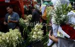 Pasar Bunga Rawa Belong Diserbu Pembeli
