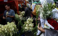 Para pembeli memadati kios-kios bunga di Pasar Bunga Rawa Belong, Jakarta Barat, Rabu (07/08/2013).