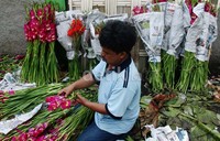 Pedagang menjual bunga sedap malam dari harga Rp 3.000 hingga Rp 7.000 per batang.