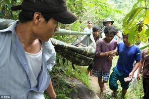 Ayah dan Anak Ditemukan Hidup di Hutan Setelah 40 Tahun Menghilang