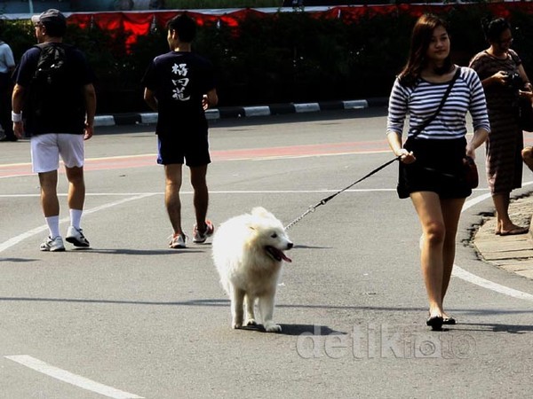 Car Free Day Sepi Pengunjung