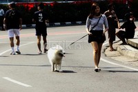 Berbagai aktifitas dilakukan warga pada car free day. Lamhot Aritonang/detikFoto.