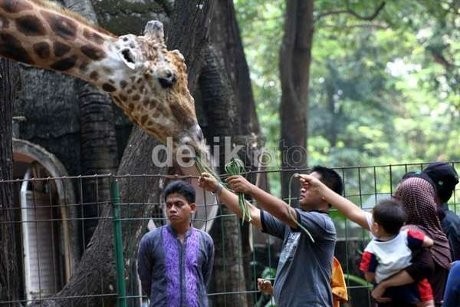 Ragunan Padat Pengunjung, Ini Imbauan dari Menhut