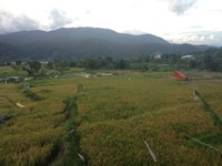 Udara sejuk pun langsung menyapa setiap traveler yang baru tiba di sana (Putri/detikTravel)
