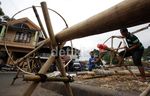 Penjual Pohon Pinang Mulai Kebanjiran Order