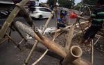 Penjual Pohon Pinang Mulai Kebanjiran Order