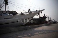 Para ABK dan pemilik kapal gotong royong saling membahu satu sama alin mempercantik kapal mereka masing-masing.
