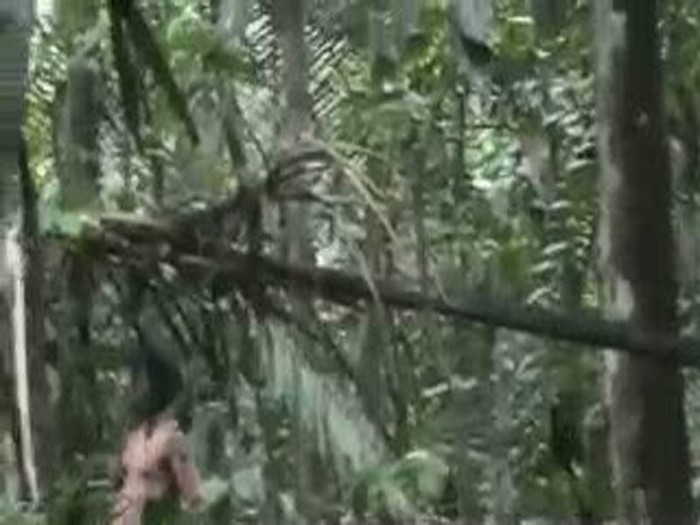 Langka, Penampakan Suku Asli Amazon Terekam Kamera