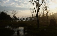 Lapangan bola BMW ini sudah sejak tahun 2010 lalu tergenang air.