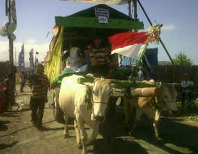 Lebaran Ketupat Warga Jember Pawai Pedati
