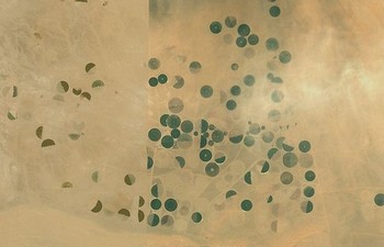 Beberapa lahan pertanian yang dibangun di gurun Arab Saudi. (kredit foto: google)