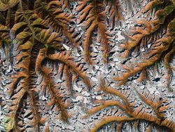 Pemandangan Indah Bumi dari Mata Google Earth