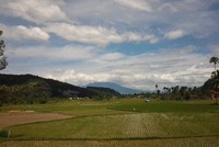 Lembah Harau letaknya di Kabupaten Lima Puluh Kota. Tempat ini memiliki 5 air terjun yang sangat indah dengan air yang dingin dan jernih. Ada sarana permainan outbound berupa flying fox, dimana pemainnya dapat melihat dengan jelas keindahan air terjun di Lembah Harau (Fayyas/detikTravel)