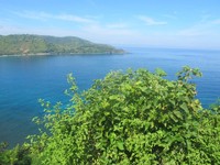 Lautan biru yang terlihat dari Bukit Malimbu sangat memesona. Inilah lautan di sekitar Pantai Senggigi. Air lautnya biru jernih dan gradasi (Afif/detikTravel)