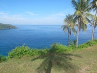 Beberapa pepohonan kelapa terdapat di sekitar Bukit Malimbu. Pohonnya pun menjulang tinggi. Cari angle yang tepat untuk menjadikan objek foto Anda sempurna di dalam kamera (Afif/detikTravel)