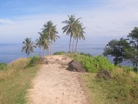 Di ujung Bukit Malimbu, ada bebatuan dan pepohonan kelapa. Bukit Malimbu sendiri sebenarnya lebih mirip seperti tebing yang hijau. Di depannya adalah lautan Senggigi (Afif/detikTravel)