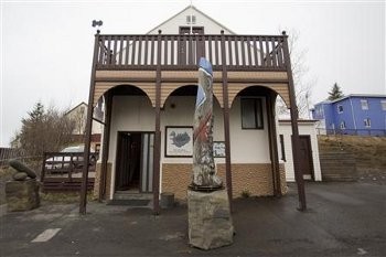 Mengintip Isi Museum Penis, Ada Koleksi Kelamin Manusia Hingga Paus