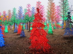 Unik! Malaysia Punya Hutan Lampu di i-City, Shah Alam