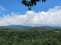 Pondok Senaru berada di Jl Wisata Senaru, Bayan, Lombok Utara. Penginapan ini juga mempunyai rumah makan yang biasa didatangi wisatawan. Dari rumah makannya, wisatawan bisa melihat Gunung Rinjani yang menjulang gagah dengan jelas, hingga puncaknya (Afif/detikTravel)