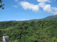Hamparan hutan hijau nan lebat pun terlihat dari Pondok Senaru. Sembari melihat hijaunya hutan yang meneduhkan pandangan, hiruplah udara yang segar di sini sedalam-dalamnya. Dijamin tak ada polusi! (Afif/detikTravel)