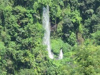 Air terjun Sendang Gile yang ada di kaki Gunung Rinjani dapat Anda pandangi dari Pondok Senaru. Arus airnya cukup deras dan warna putihnya menjadi pelengkap kecantikan dari hijaunya hutan (Afif/detikTravel)
