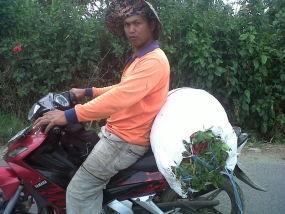 Harga Cabai Rawit dan Bawang Sudah Turun, Tapi Masih Mahal