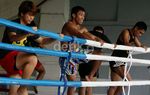 Muay Thai Indonesia Targetkan 2 Emas
