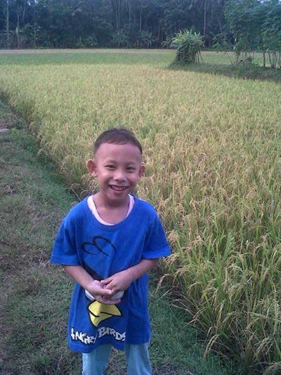 Muhammad Almanu Haska, 4 Tahun, Lelaki