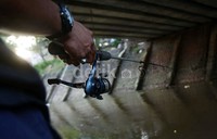 Mereka berharap mujaer atau ikan gabus segera menyangkut di kail.