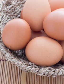 Telur Bebek dan Telur Puyuh Bisa Jadi Pengganti Telur Ayam