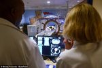 Mengintip CT Scan Bertema Bajak Laut Khusus untuk Anak