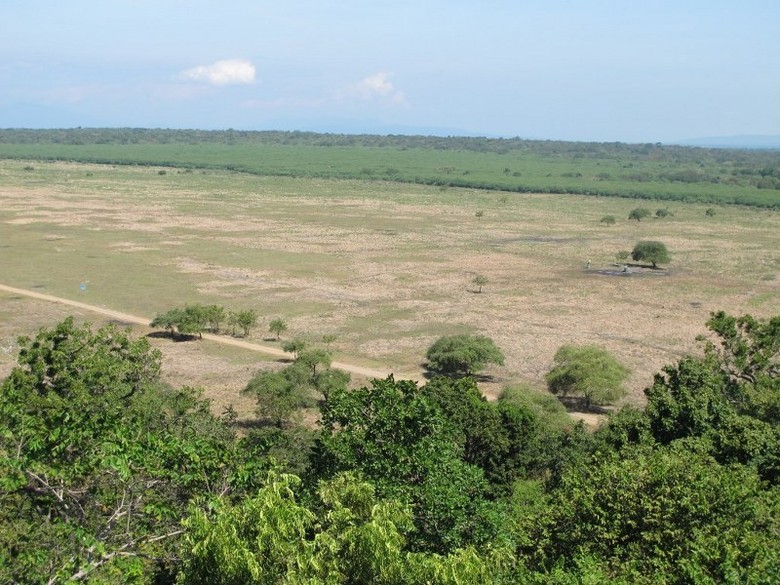 Taman Nasional Baluran Afrika Di Ujung Pulau Jawa