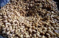 Di sejumlah pasar, harga kedelai naik menjadi Rp 9.200/Kg dari harga normal Rp 7.700-8.000/Kg.