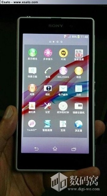 Sumber bocoran ini adalah sebuah situs di China. Tampak wujudnya khas ponsel Xperia besutan Sony selama ini. (kredit foto: esato)