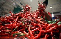 Cabai rawit turun harganya dari Rp 40 ribu menjadi Rp 20 ribu per kilogram. Penurunan juga dialami jenis cabai yang lain.