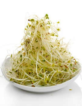 Wanita Hamil Sebaiknya Tak Konsumsi Kopi dan Tauge Mentah