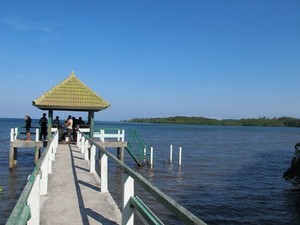 Pantai Bama, Si Cantik yang Tersembunyi di Africa van Java