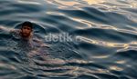 Bocah Penangkap Koin Pelabuhan Parapat