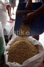 Pemerintah Belum Mau Hapus Bea Masuk Kedelai Impor
