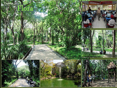 9 Taman Cantik di Surabaya Racikan Risma