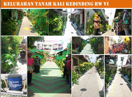 Risma Datang, Kampung-kampung di Surabaya Ini Jadi Hijau