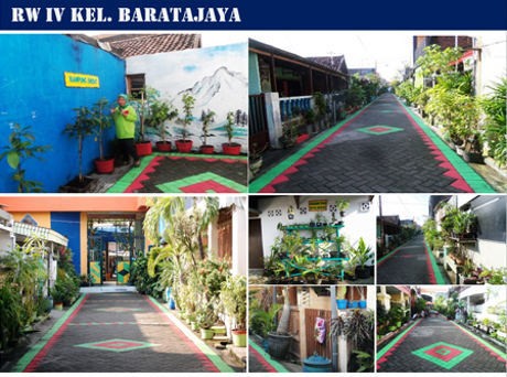 Risma Datang, Kampung-kampung di Surabaya Ini Jadi Hijau