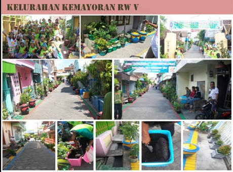 Risma Datang, Kampung-kampung di Surabaya Ini Jadi Hijau