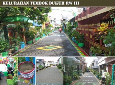 Risma Datang, Kampung-kampung di Surabaya Ini Jadi Hijau