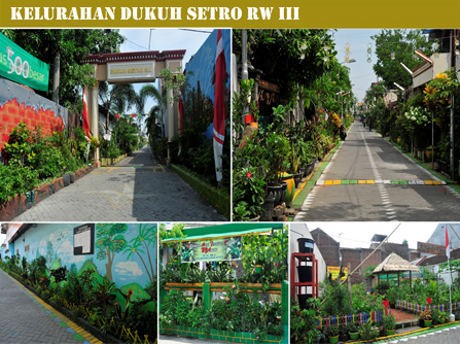 Risma Datang, Kampung-kampung di Surabaya Ini Jadi Hijau