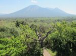 Mau ke Afrika, Datang Saja ke Taman Nasional Baluran!